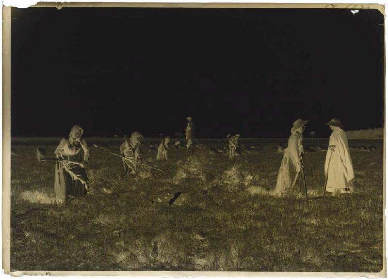 'Taillayres', coupeuses de bruyère - Pradéou (Commensacq) (Titre attribué)