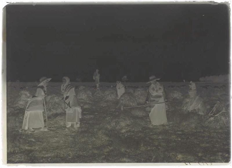 'Taillayres', coupeuses de bruyère - Pradéou (Commensacq) (Titre attribué)