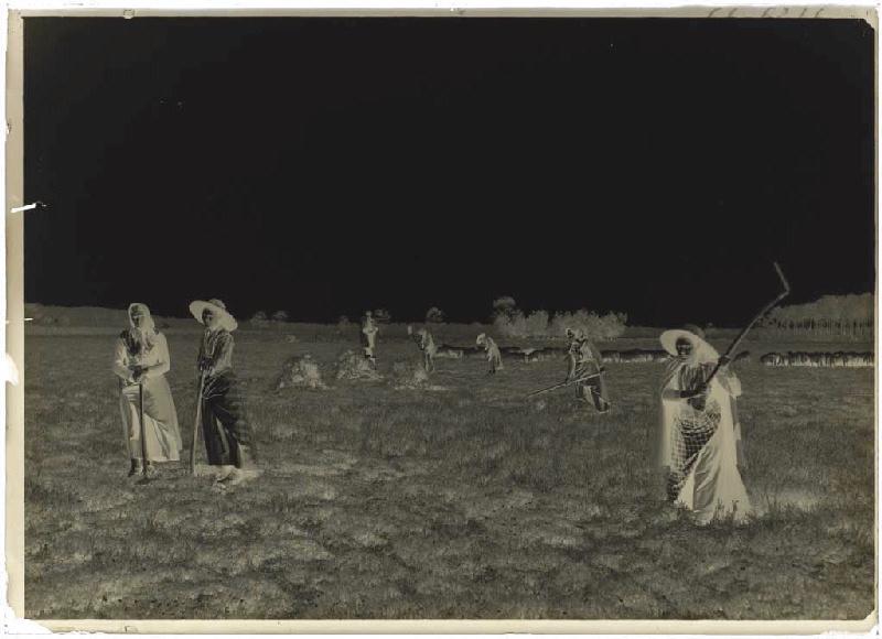 'Taillayres', coupeuses de bruyère - Pradéou (Commensacq) (Titre attribué)