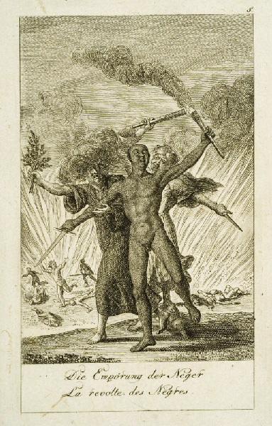 La révolte des Nègres