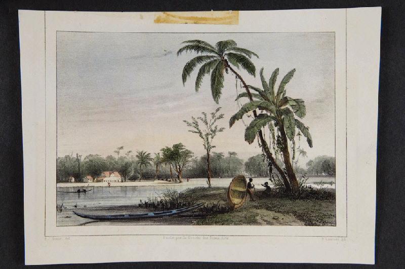 Bords de rivière ou de lac à Surinam
