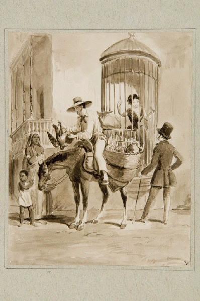 La Havane, Ile de Cuba (n°141)