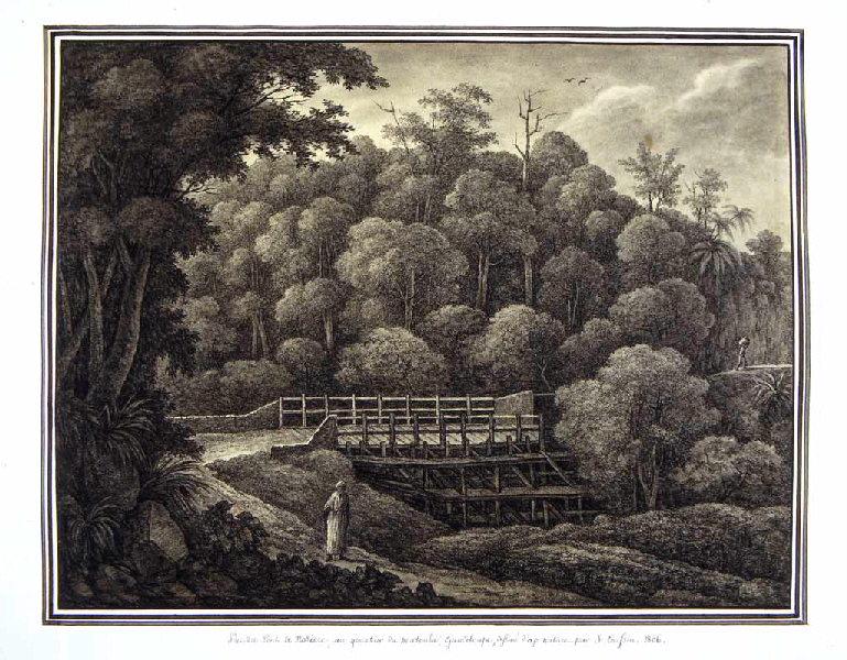 Vue du Pont de Nozière, au quartier de Matouba, Guadeloupe, dessiné d'après nature par J. Coussin, 1806