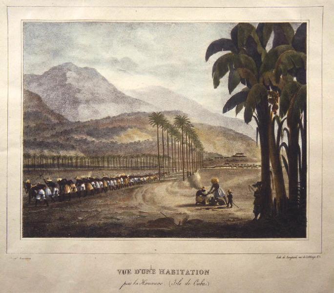 Vue d'une habitation près la Havane, Isle de Cuba