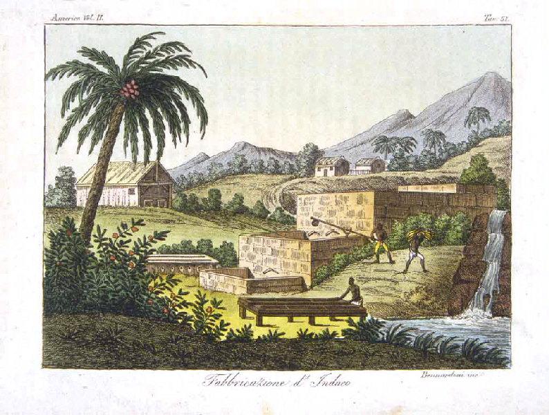 Fabrication d'Indigo