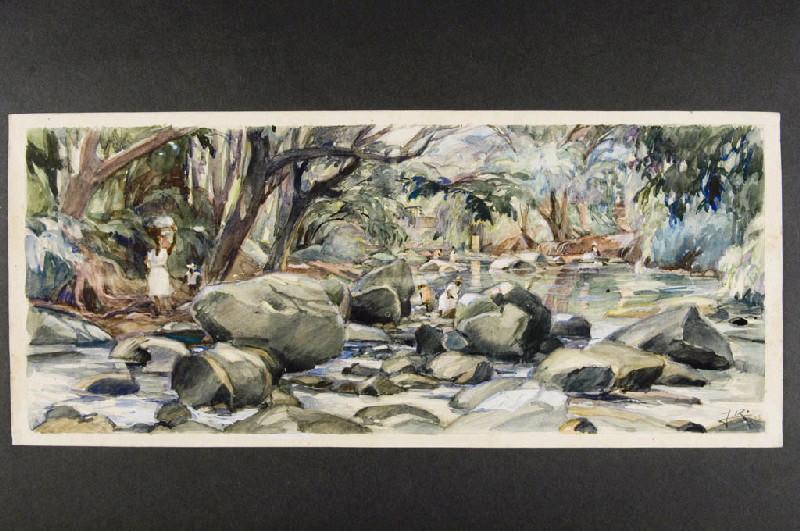 Vue d'une rivière en Guadeloupe, près de Sainte-Rose