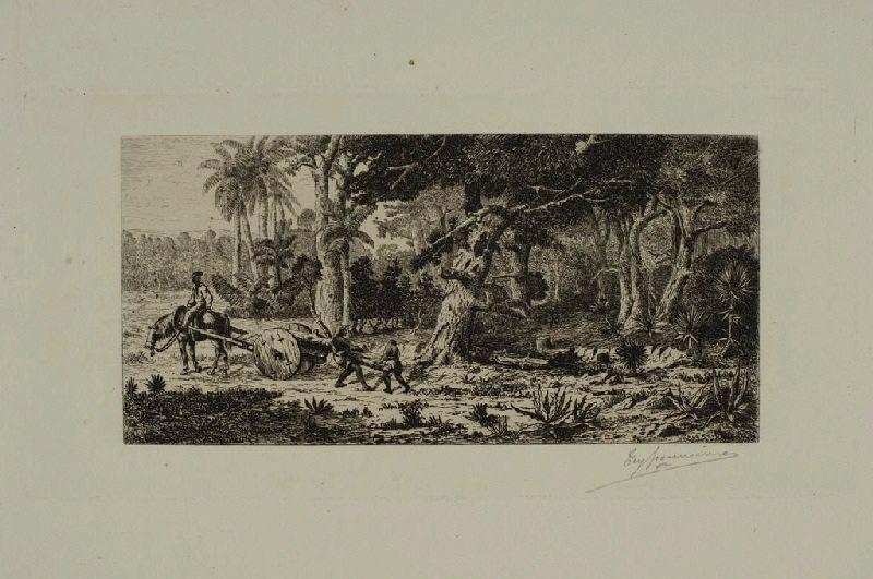 Charriage du bois (Brésil)