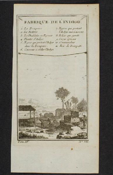 Fabrique de l'Indigo