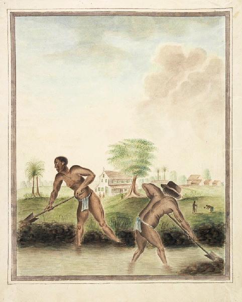 Nègres creusant un canal