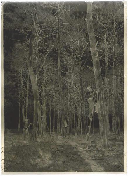 Résiniers, Bruze, Manciet, chien ; Résinier (titre attribué)