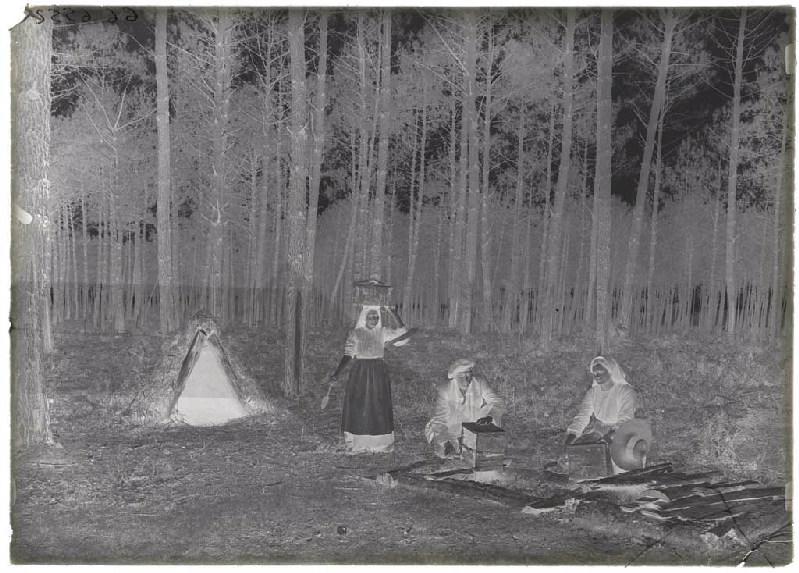 Résiniers aux 'barques'