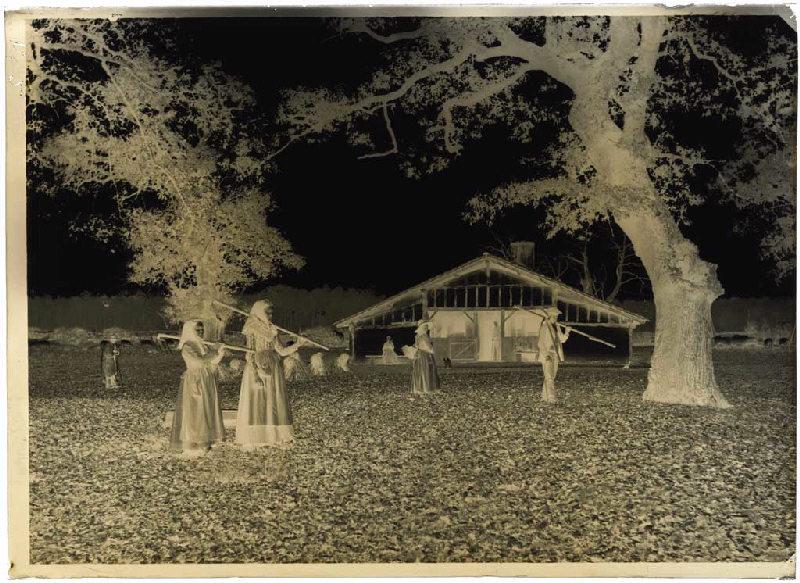 Résiniers et femmes