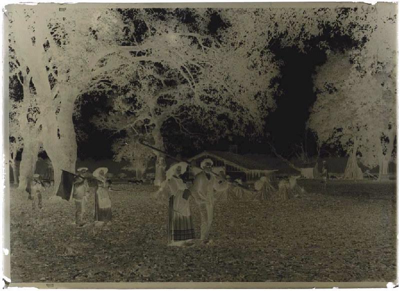 Résiniers et femmes