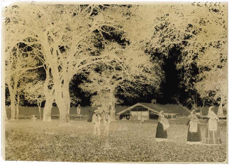 Résiniers et femmes