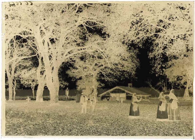 Résiniers et femmes