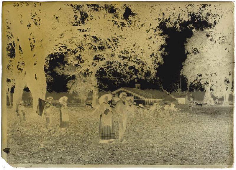 Résiniers et femmes