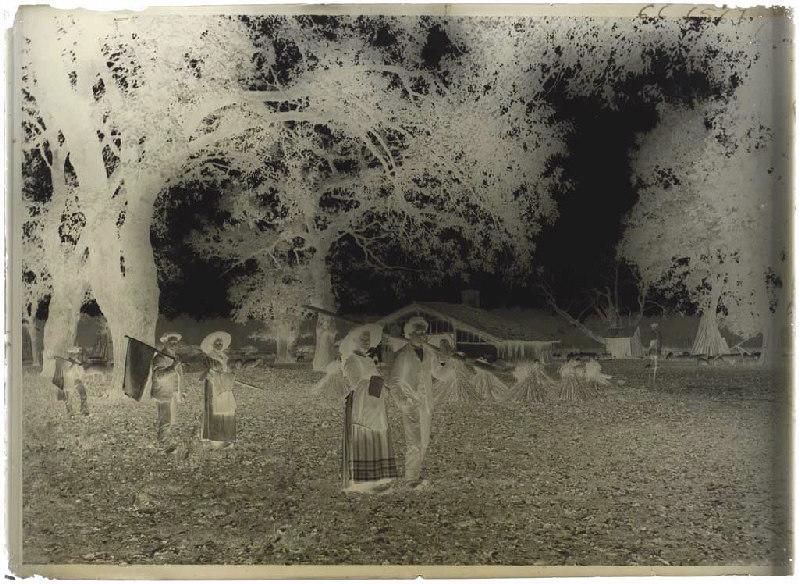 Résiniers et femmes