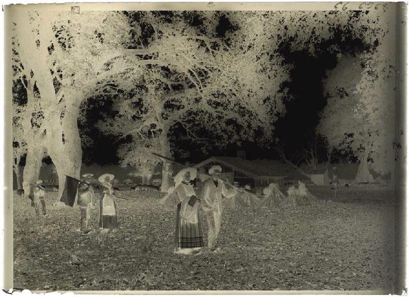 Résiniers et femmes