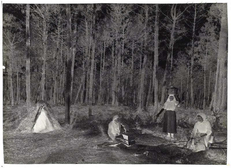 Résiniers aux 'barques'