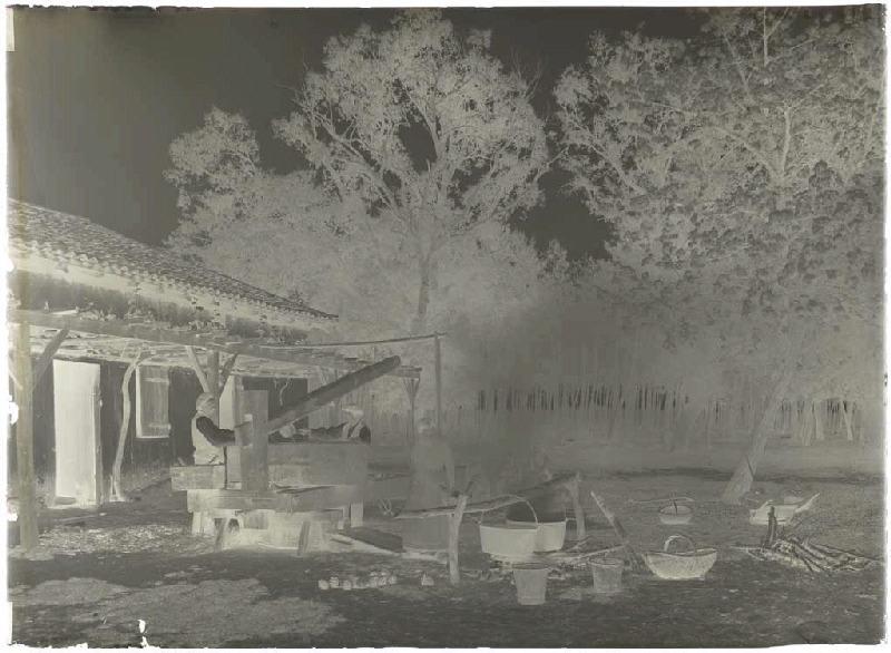 Pressurage du miel et de la cire