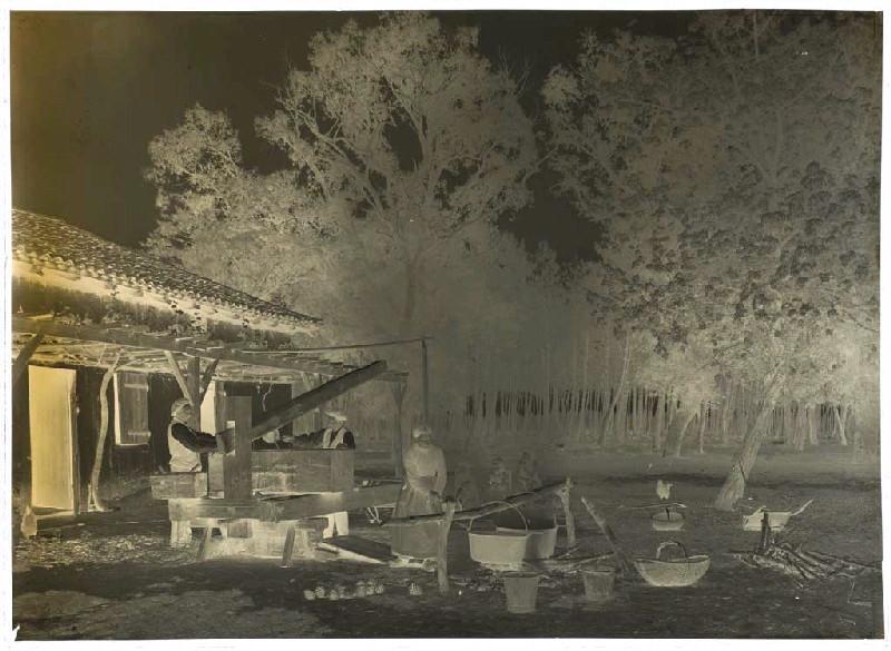 Fabrication de la cire, chez Lalanne, moulin de Dupouy ; Pressurage du miel et de la cire (titre attribué)