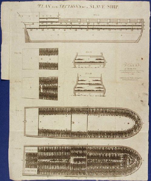 Plan and section of a slave ship