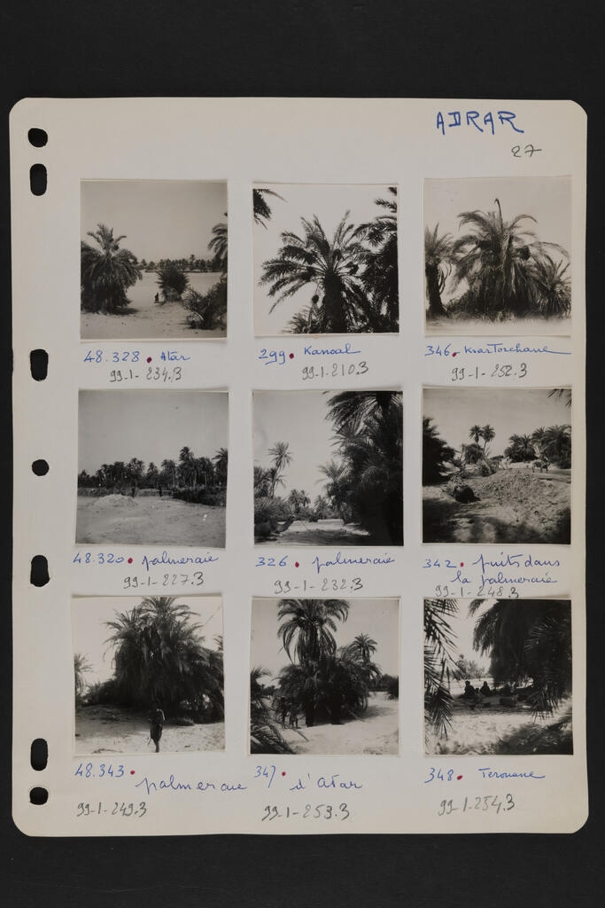 ADRAR (Titre d'origine)