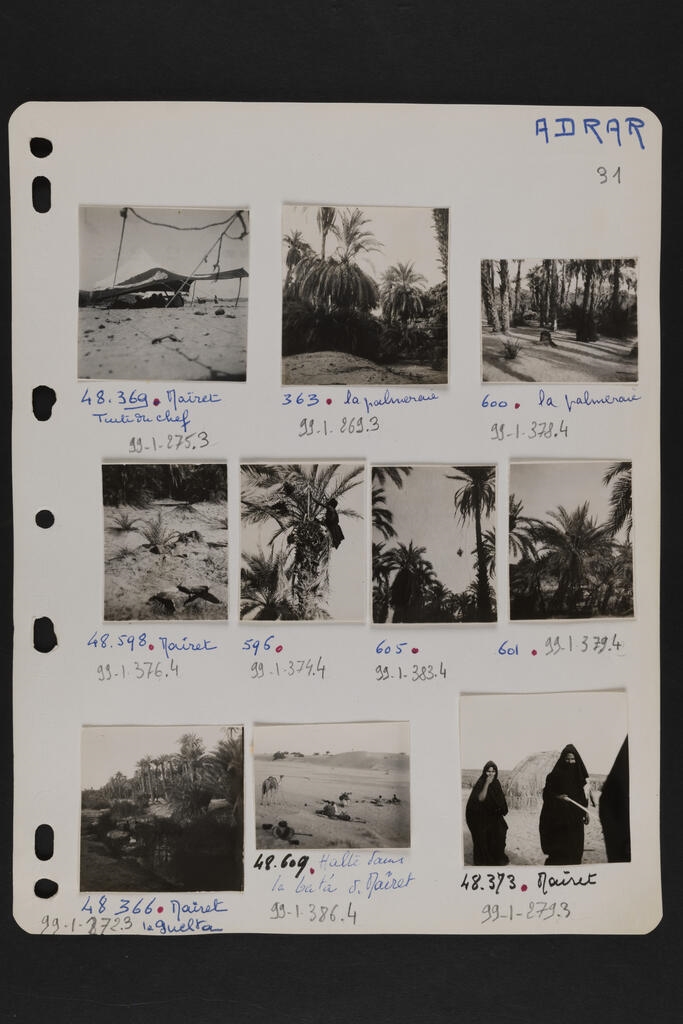 ADRAR (Titre d'origine)
