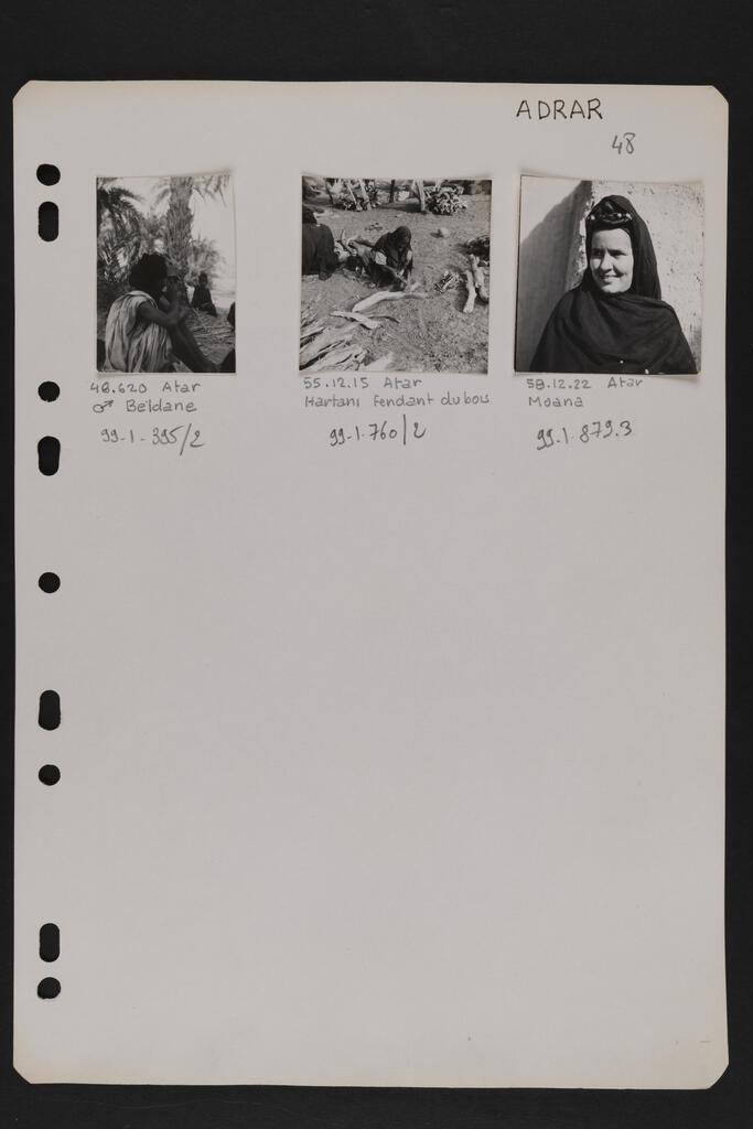 ADRAR (Titre d'origine)
