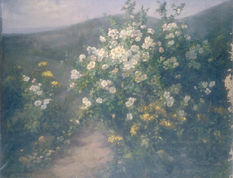 Eglantiers en fleurs ; Allée fleurie