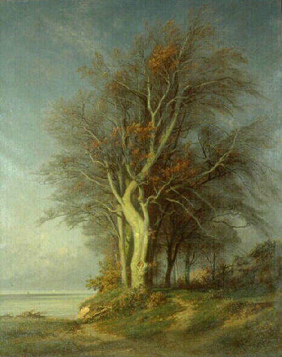 Les hêtres de la côte de Grâce près de Honfleur