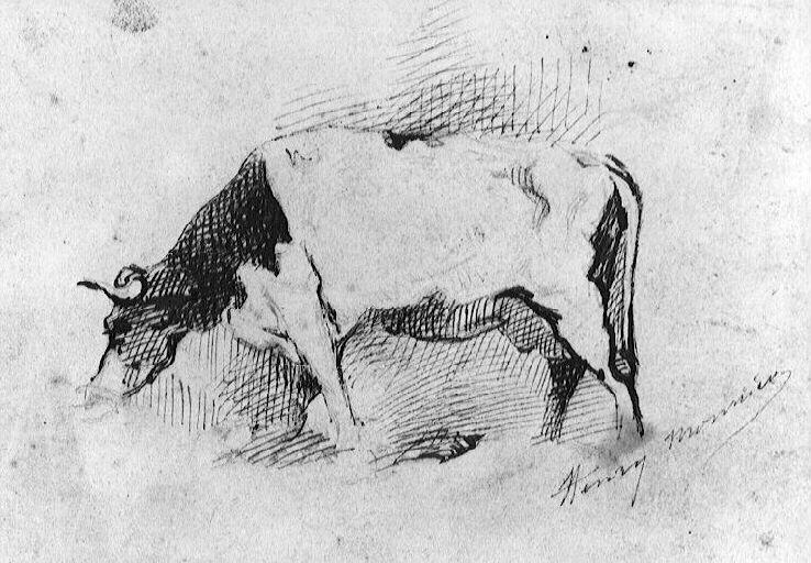 Vache
