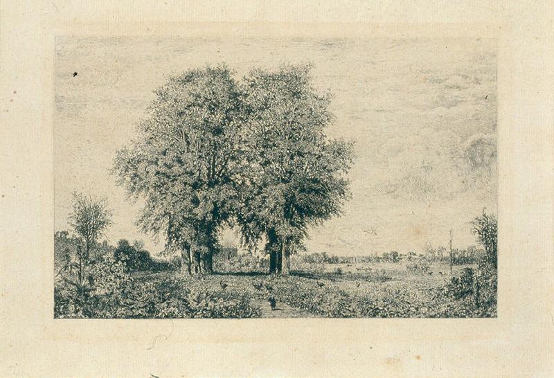 Les ormeaux de Cenon