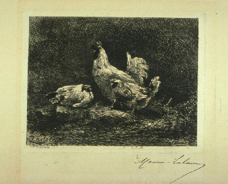 Les poules