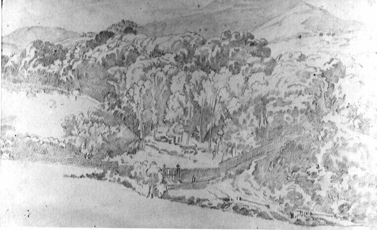Paysage boisé
