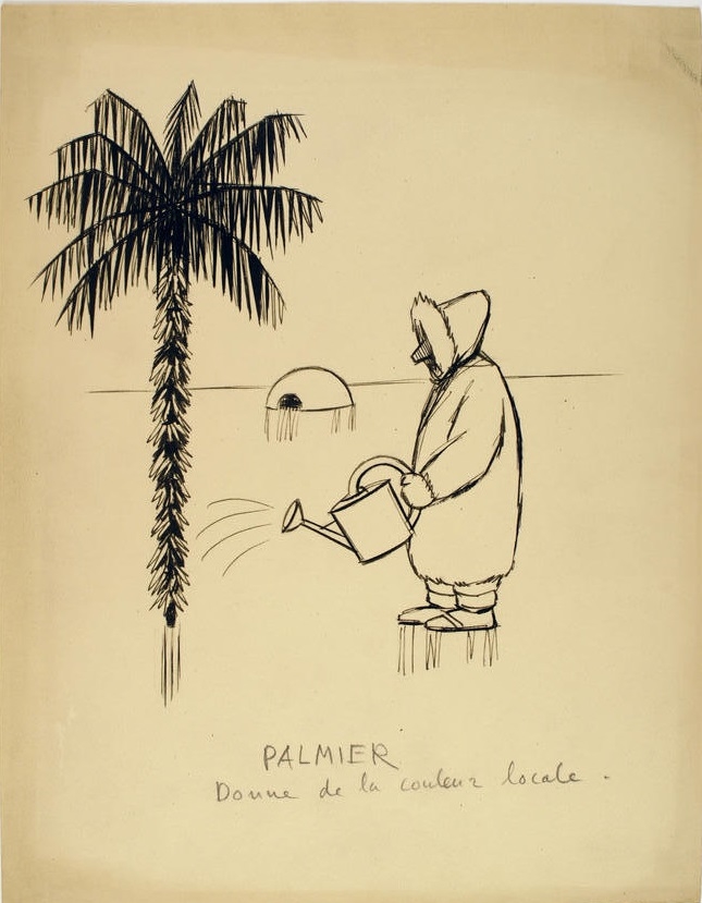 Palmier donne de la couleur locale