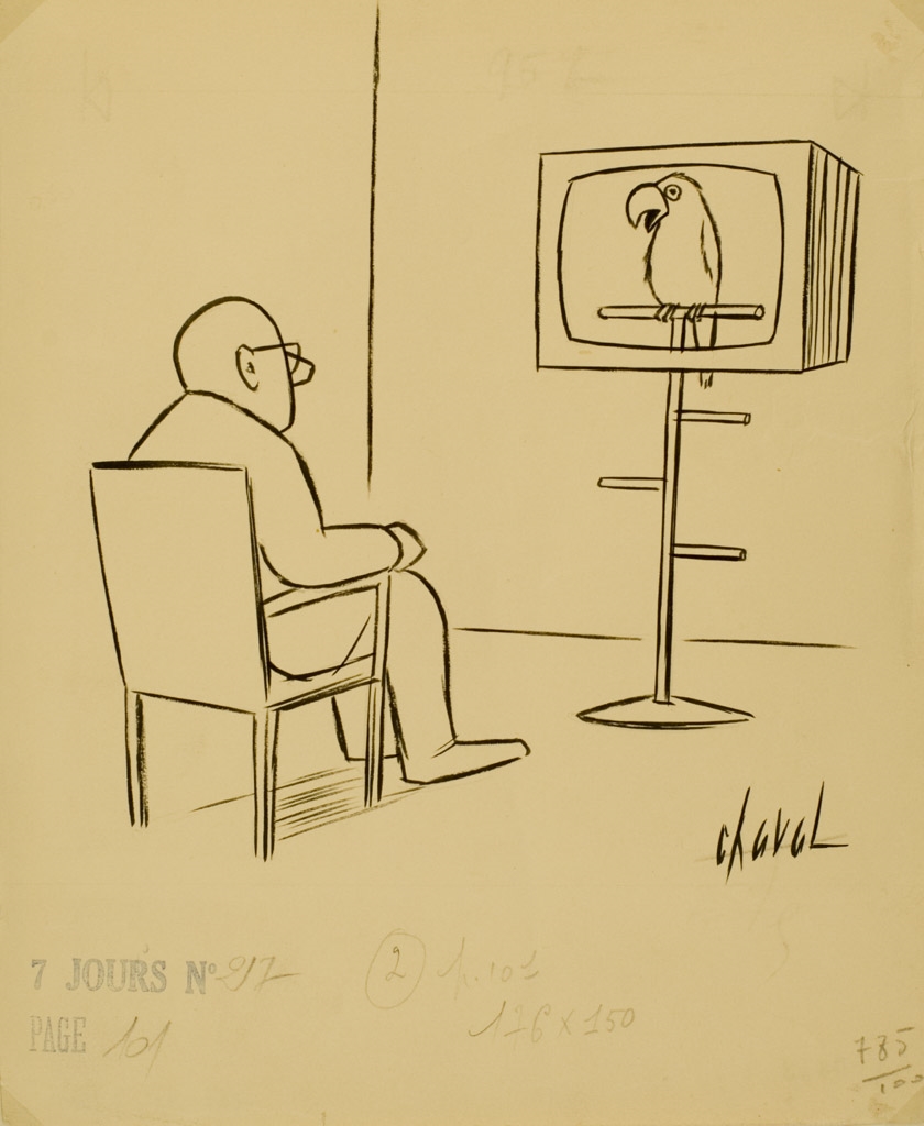 Sans titre ; Télé perroquet