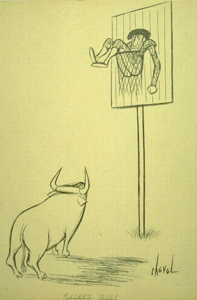 Basket-Bull