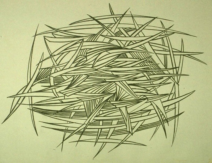 Sans titre ; Graphisme ; Sans titre