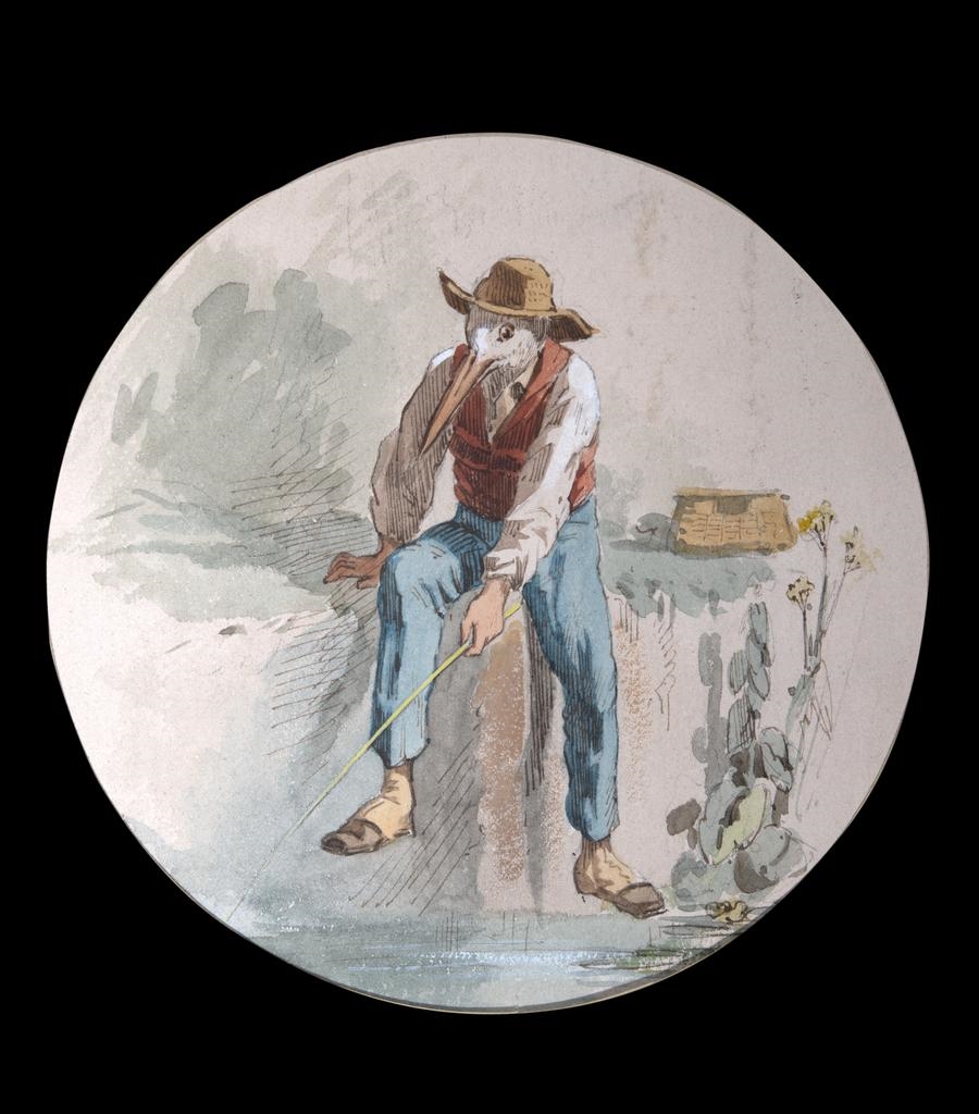 Le héron pêcheur