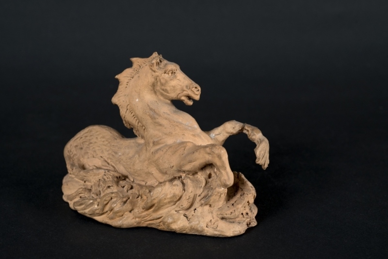 Cheval marin