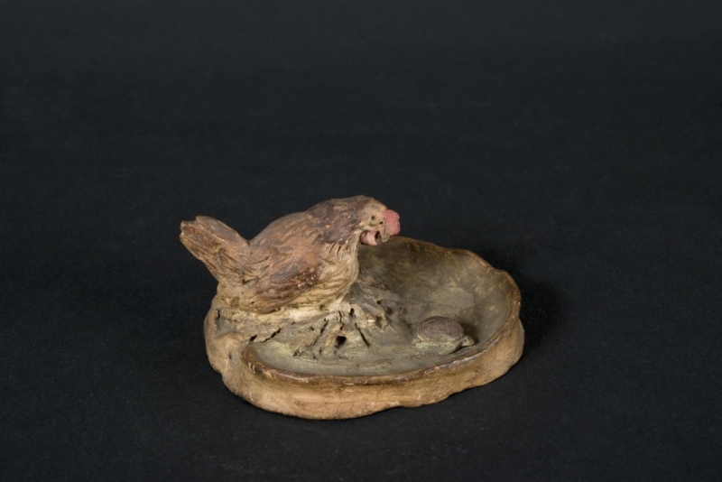 Poule observant une tortue
