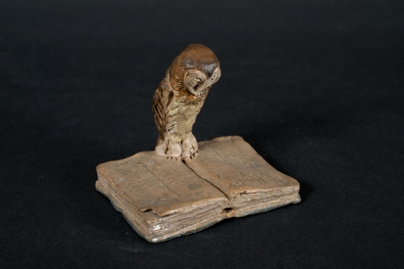 Chouette posée sur un livre