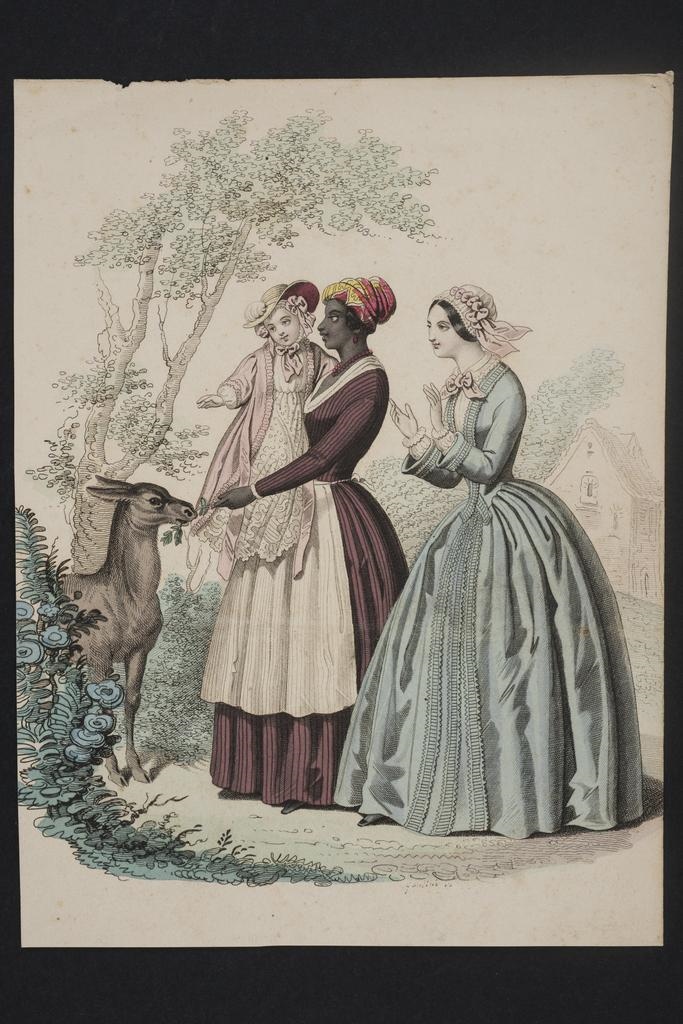 Vue de la Guadeloupe