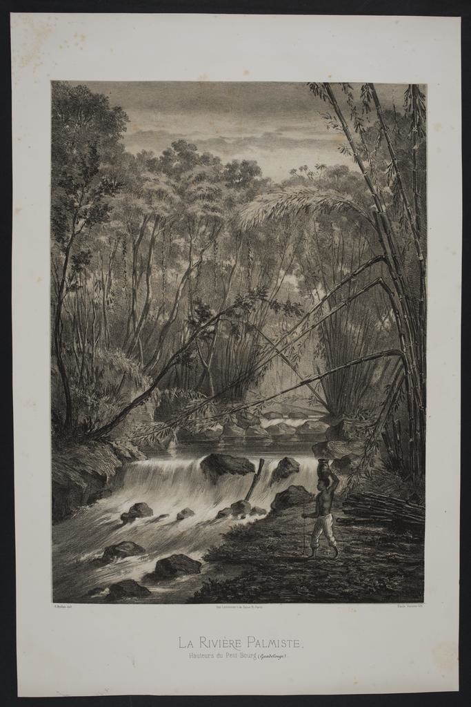 "La Rivière Palmiste" ; Vue de la Guadeloupe