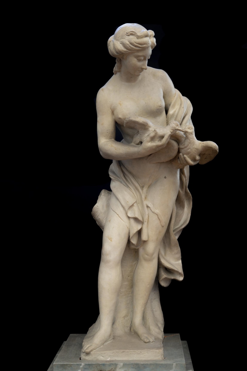 Vénus