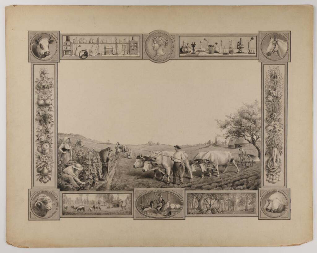 Maquette de diplôme
