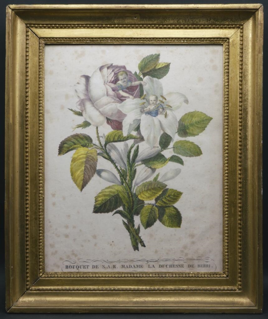 "Bouquet de S.A.R. Madame la Duchesse de Berri"