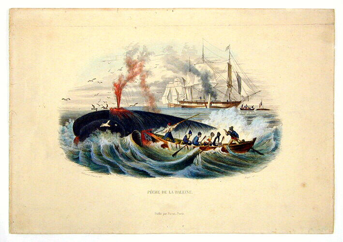 Pêche de la baleine