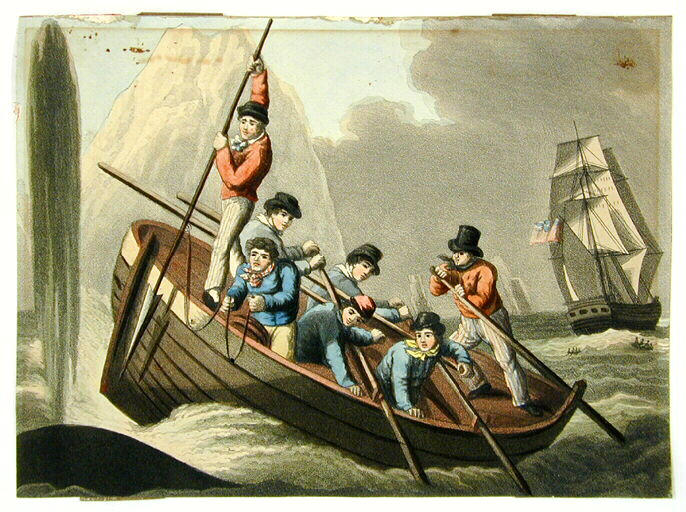 Approche de la baleine, pêche au harpon